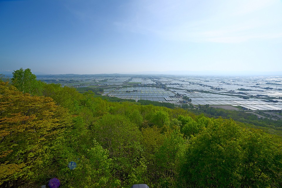 写真：東川町